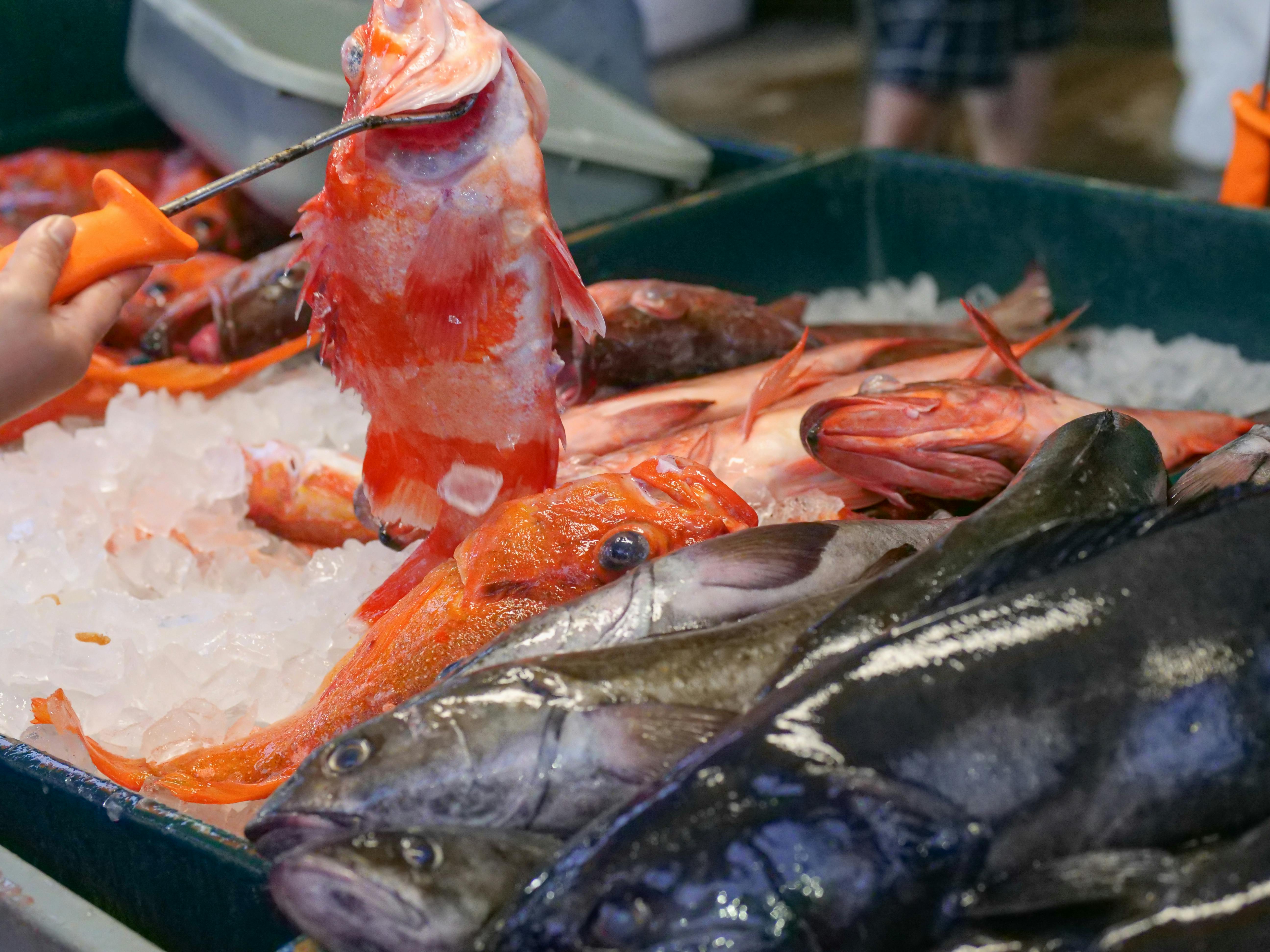 Effective Ways to Streamline Your Experience at Imperial Fish Market in 2025