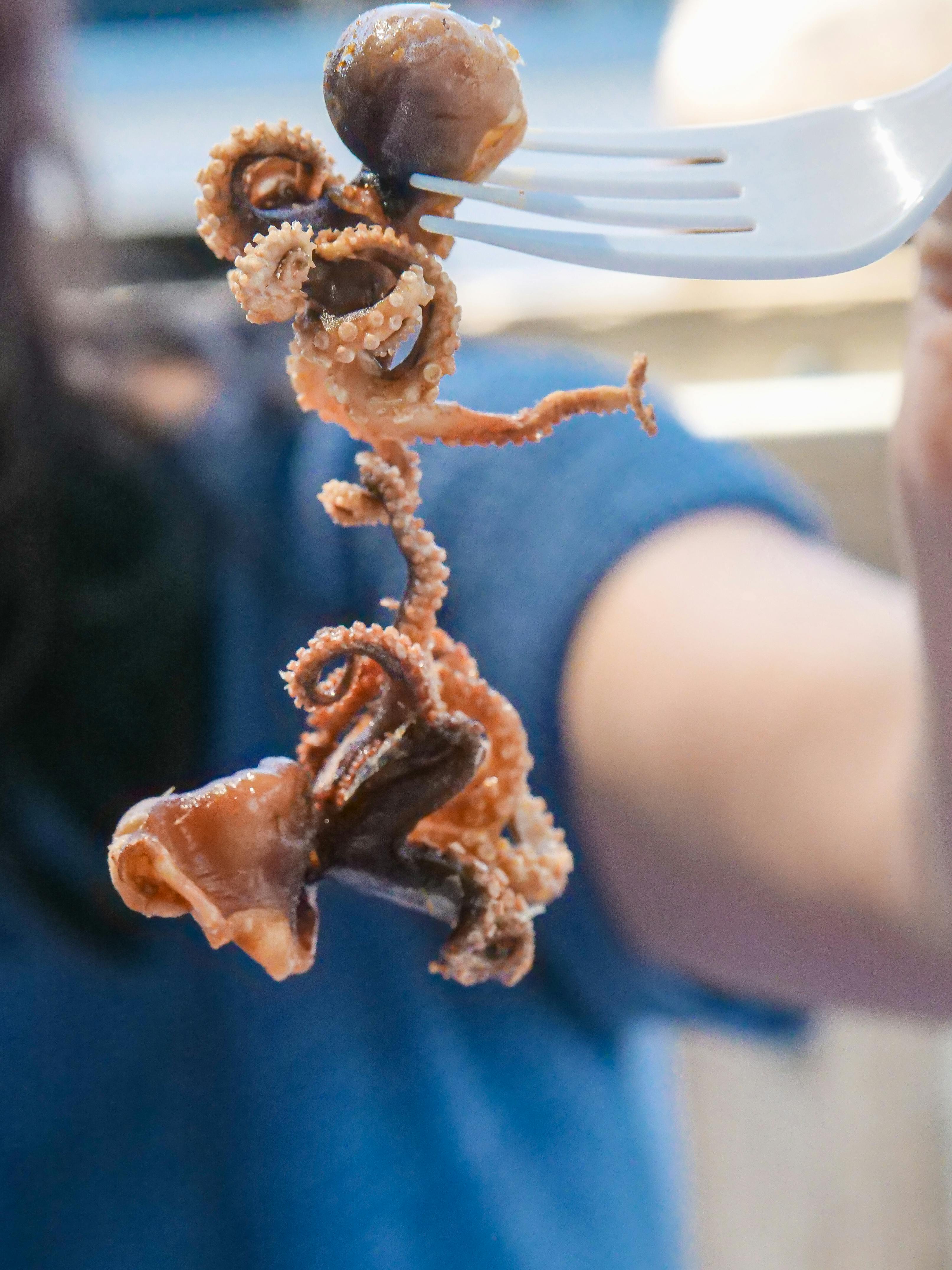 Effective Ways to Optimize Fresh Florida Fisheries in 2025